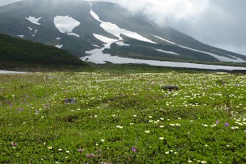 【銭単位切手】大雪山国立公園　小型シート　北鎮岳旭岳層雲峡十勝連山 Yahoo!オークション -「切手 国立公園 大雪山」の落札相場・落札価格