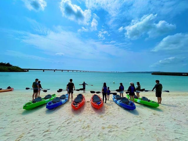 ACTIVITY MIYKOJIMA DOSU