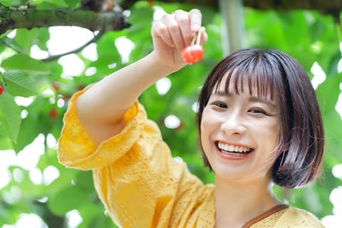 【北海道・札幌発バスツアー】果物狩りバスツアー！壮瞥で旬のフルーツ食べ放題！洞爺湖・登別地獄谷も周遊（日帰り）