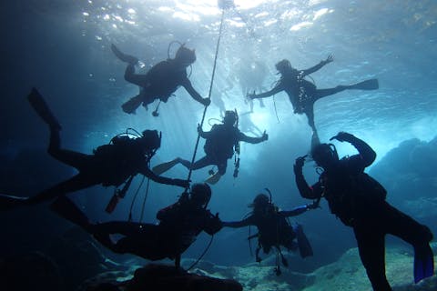 【東伊豆・菖蒲沢・ダイビング】東伊豆のリゾート地《菖蒲沢》！泊まりでライセンス取得しよう！