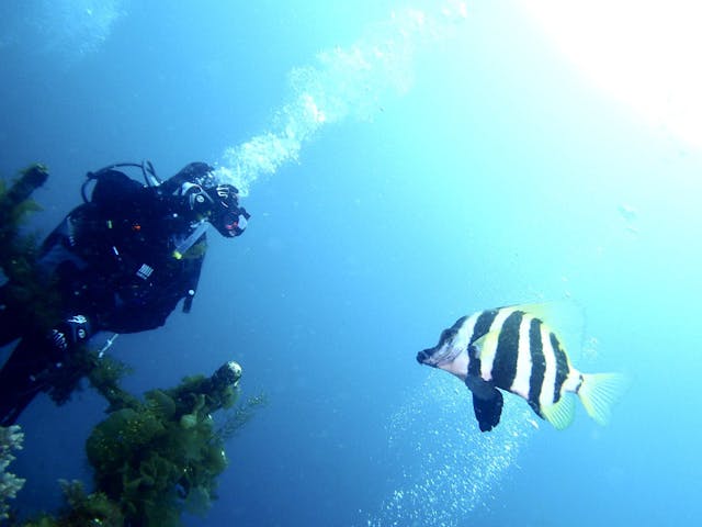 ダイビングショップアバロ