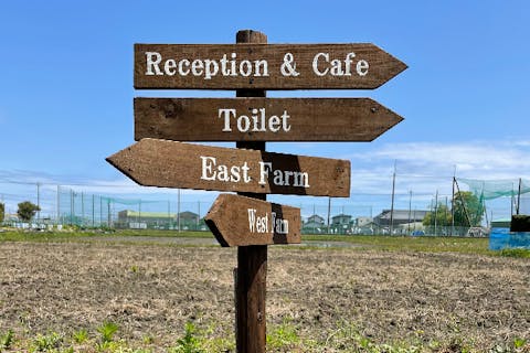 【静岡・焼津　ブルーベリー狩り】90分食べ放題+お気に入りのブルーベリーおみやげパック付