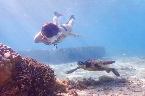 【沖縄・宮古島・シュノーケリング】2名様以上でお得！ウェットスーツも無料！脅威のウミガメ遭遇率！大人気ウミガメシュノーケリング＜レンタル機材・写真データも無料！＞ファミリー・カップル・女性にオススメ！