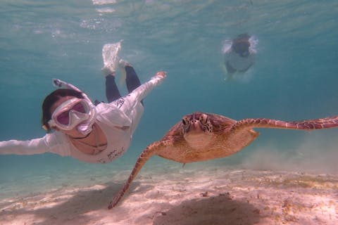 【沖縄・宮古島・シュノーケリング】4名様以上で更にお得！ウェットスーツも無料！脅威のウミガメ遭遇率！大人気ウミガメシュノーケリング＜レンタル機材・写真データも無料！＞