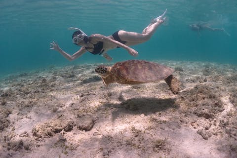 【沖縄・宮古島】うみがめシュノーケリング初心者から経験者まで少人数制！撮影付き！