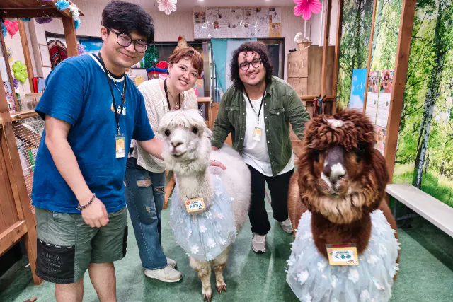 【東京・ふれあい体験（30分）】本物のアルパカとふれあえる！おひとり様・カップル・ご家族どなたでも参加OK◎神楽坂駅、飯田橋駅からすぐ！