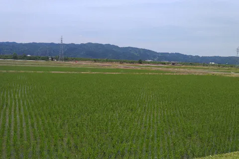 【新潟県・南魚沼市浦佐・サイクリング】米処魚沼の水田を眺め、魚沼コシヒカリの発祥地を訪れる。南魚沼市北部エリア、米どころ貸切ガイドサイクリング