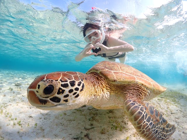 CHAMP TOUR　宮古島