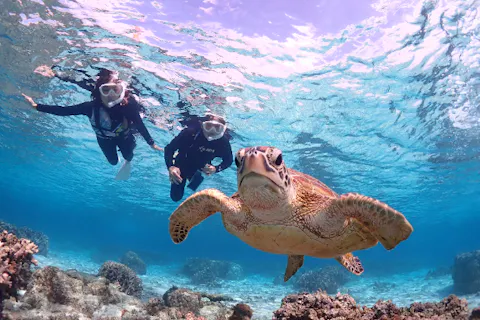 【沖縄・宮古島・シュノーケリング】ウミガメシュノーケリング★送迎相談可！★撮影データ無料！★初めての方大歓迎！★高性能水中カメラで撮影♪
