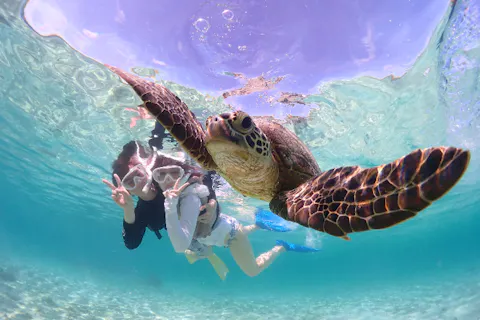 【沖縄・宮古島・シュノーケリング】ウミガメシュノーケリング★送迎相談可！★撮影データ無料！★初めての方大歓迎！★高性能水中カメラで撮影♪