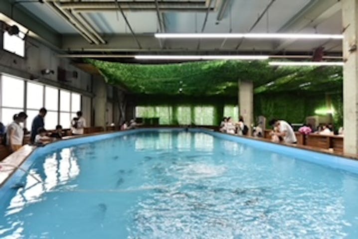 横浜釣り堀王国