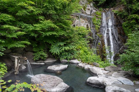 【栃木・日光・混浴日帰り温泉】〈アソビュー！オリジナルプラン〉送迎・昼食・タオル・ドリンク付き！木のぬくもり溢れるレストハウスで一日満喫！