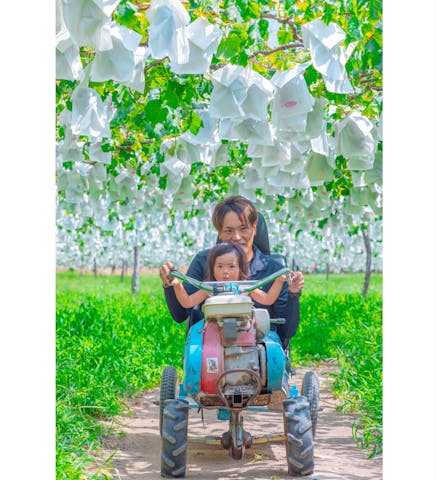 遊覧農場ヤマナカ果園