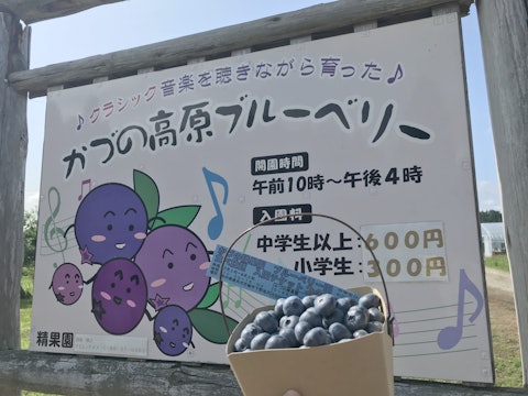 かづの精果園