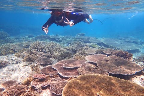 【沖縄・本部・国頭】SUPシュノーケル　SPECIAL SALE！初心者でもおよげなくても安心。写真サービス付き！