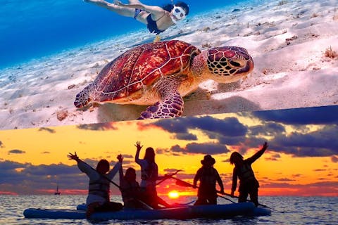 【沖縄・宮古島・シュノーケリング・SUP】《遭遇率100%継続中》1日で宮古島を満喫しよう！ウミガメシュノーケリング&サンセットSUPツアー 《遭遇率100%継続中》