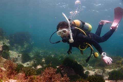 半日】福岡の海で楽しめる♪ファンダイビング｜アソビュー！