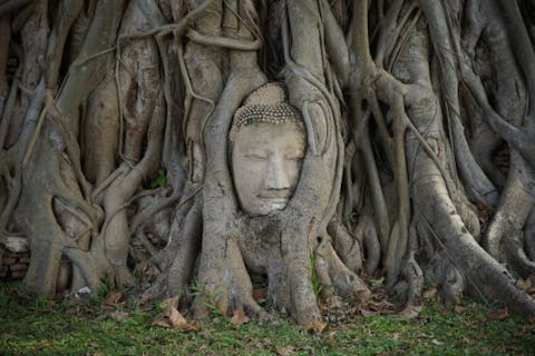 【タイ・バンコク・日帰りツアー】古都アユタヤ4大遺跡巡り日帰りツアー（バンコク発・日本語ガイド・ランチ・ホテルお迎え付）