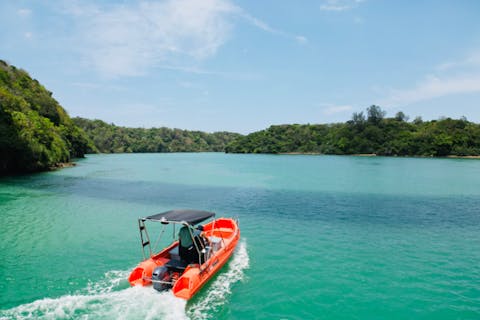 SNSで話題のカフェのアトラクション！Beryl The Ride エメラルドの絶景、ワルミ海峡を満喫しよう！！ 【沖縄・古宇利島・羽地内海・クルージング】
