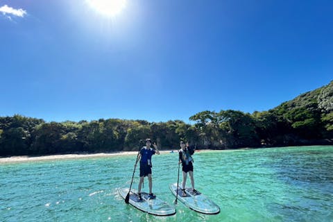 【三重・志摩・SUP】天然水族館をお散歩クリアサップ体験！【レンタル】