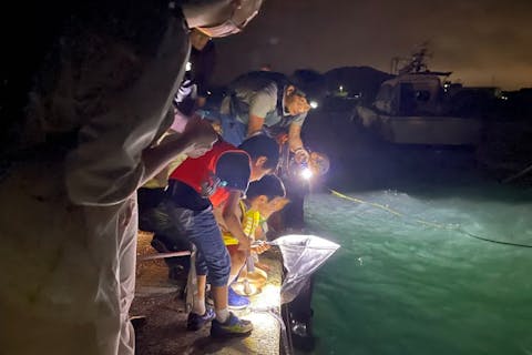 【千葉・南房総・生きもの観察体験】南房総の夜の海の不思議をサクっと体験！「ウミホタルの捕獲と夜の生き物観察ツアー」