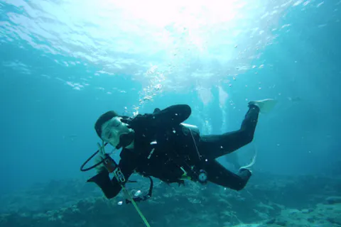 Google口コミ数第1位！【沖縄・慶良間諸島・ファンダイビング】器材レンタル無料！海ガメに逢えるかも♪国立指定公園慶良間諸島2ボートファンダイビング！