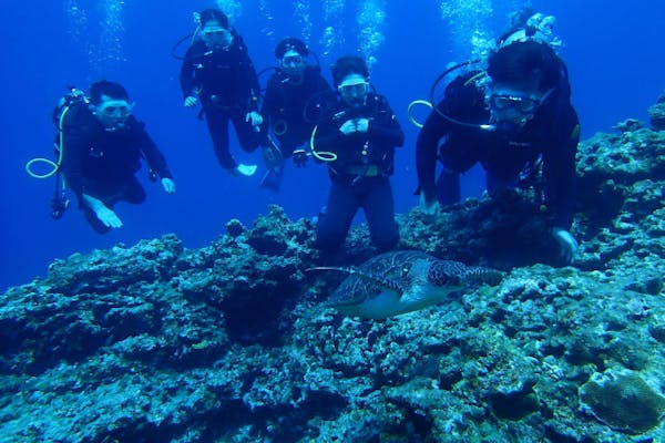 Google口コミ数第1位！【沖縄・慶良間諸島・ファンダイビング】器材