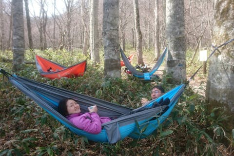 【栃木・奥鬼怒・ハイキング】お子様大喜び！奥鬼怒ブナ平ハンモックハイキング＜ご宿泊の方限定ツアー＞