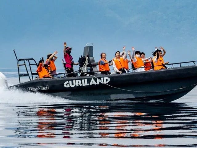 松島リブツアー