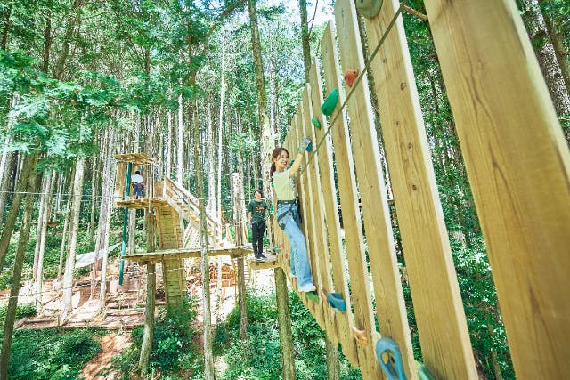 【愛知・新城・アドベンチャーコース】地上18ｍ！最長120mのジップライン！ダイナミックで本格的な樹上体験をお楽しみください。（所要時間：約120分）