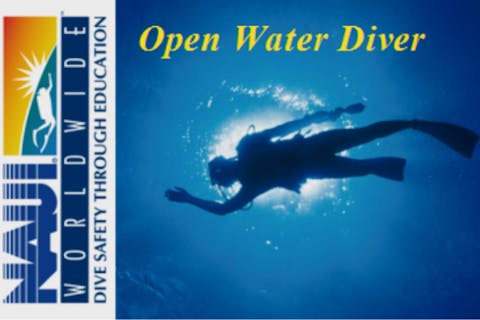 【伊豆・湘南・ライセンス取得】3日で取得！1日ずつ日帰りもOK！オープンンウォーターライセンス講習＜茅ヶ崎駅集合＞