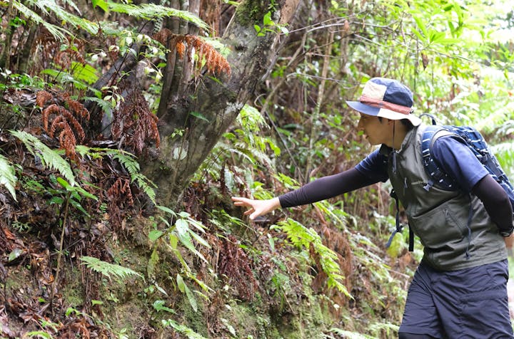 ジオと星のガイド