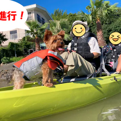 浜松・浜名湖】2人ペダルカヤック/手ぶらで湖上散歩/オールをもって 浜松・浜名湖】2人ペダルカヤック/手ぶらで湖上散歩/オールをもって