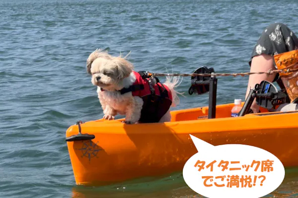浜松・浜名湖】2人ペダルカヤック／手ぶらで湖上散歩／オールをもって