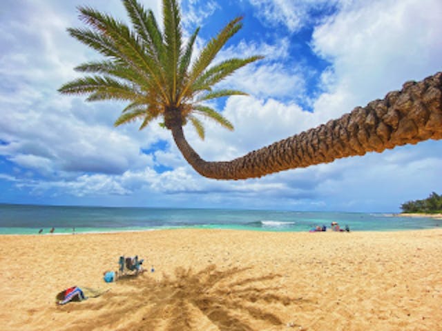 FUN GROUP HAWAII INC.