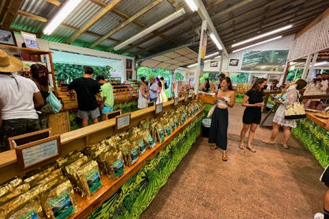 【ハワイ・オアフ島】東から北へ周遊ツアー＜ダイヤモンドヘッド登頂付き＞