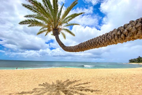 【ハワイ・オアフ島】東から北へ周遊ツアー