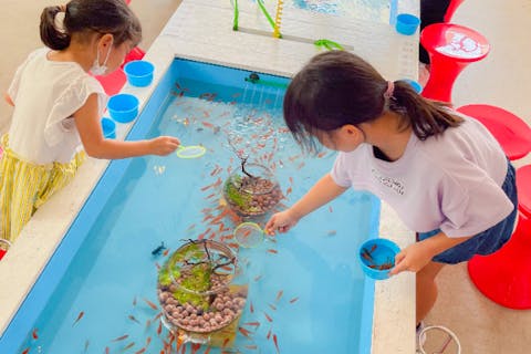 【神奈川・江ノ島・金魚すくい】30分貸し切り！金魚すくい水槽 1槽貸切プラン