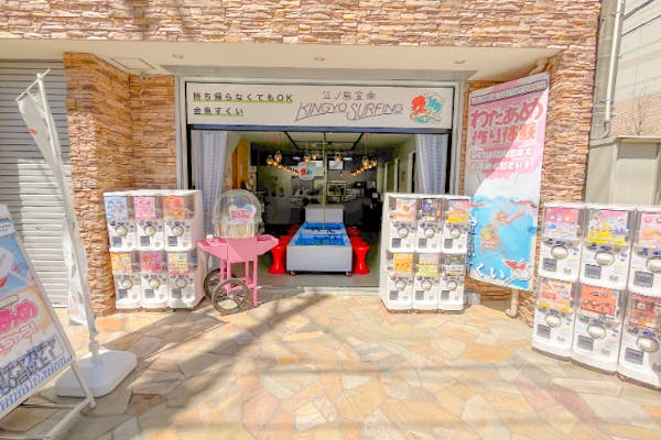 神奈川・江ノ島・金魚すくい】30分貸し切り！金魚すくい水槽 1槽貸切