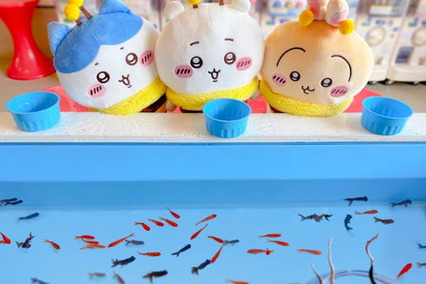 神奈川・江ノ島・わたあめ作り】わたあめ作り体験ファストパス