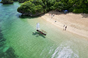 ぺ*ん様 ALPS カウボーイ 投げ縄回し ブリキ 20240212162218.gif