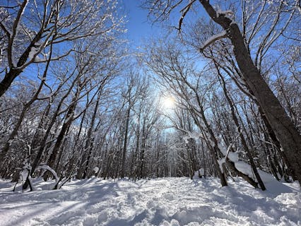 札幌 雪遊び・冬遊びの遊び体験｜【アソビュー！】休日の便利でお得な遊び予約サイト