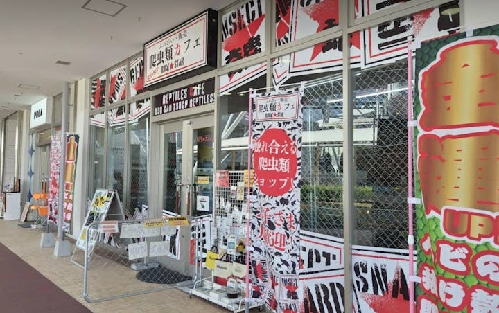爬虫類カフェロックスター　りんくうシークル店