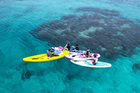 北部・やんばるのSUP（サップ）の体験・予約 おすすめランキング - アソビュー！