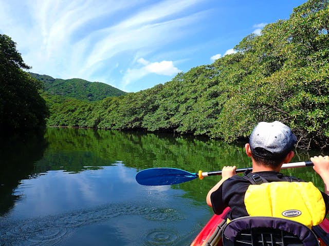 西表島コモレビトリップ