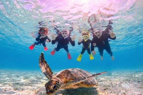 【当日予約OK】春休み・GWの家族旅行＆学生に！宮古島ウミガメシュノーケル★写真動画無料・5歳〜手ぶらでOK