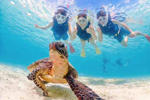 【当日予約OK】春休み・GWの家族旅行＆学生に！宮古島ウミガメシュノーケル★写真動画無料・5歳〜手ぶらでOK