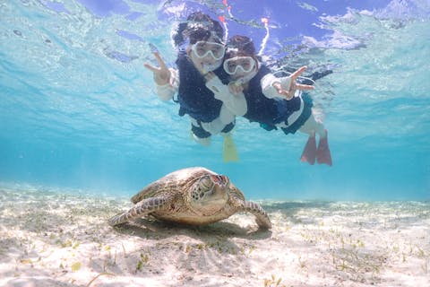 【沖縄・宮古島・ウミガメシュノーケリング】 夏の大セール！直前予約OK！写真データ全て無料プレゼント！sns映え間違いなし！