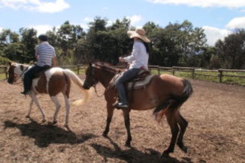 【大分・乗馬】＜３０分体験乗馬プラン＞馬のお世話とニンジン付き＋体験乗馬30分　 緑あふれる高台の青空の下で、馬のお世話と乗馬を一緒に楽しめる贅沢な欲張りプラン。初心者もお子様も気軽に参加できます。