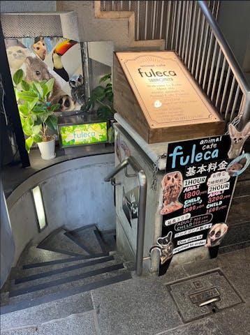 アニマルカフェフレカ　三宮店
